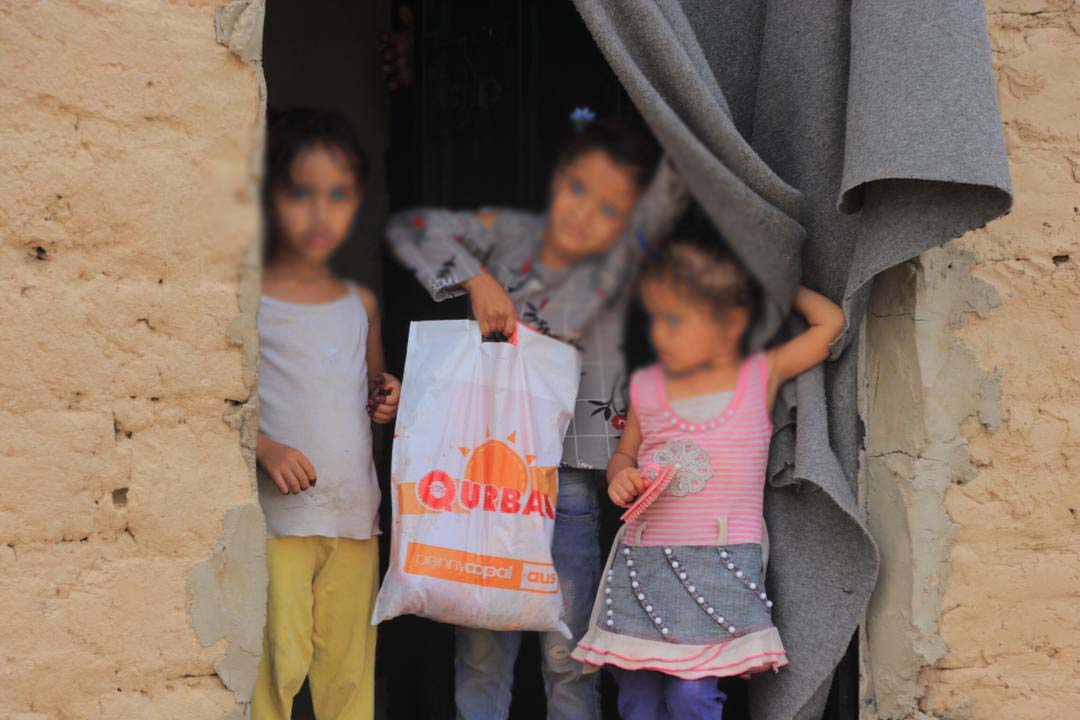 بتمويل من بيني أبيل.. أكثر من 19 ألف شخص استفادوا من مشروعي لحوم الأضاحي وكسوة العيد  