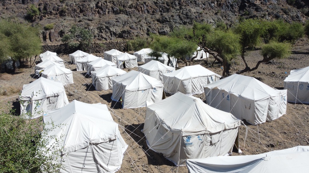 توزيع الخيام للنازحين 