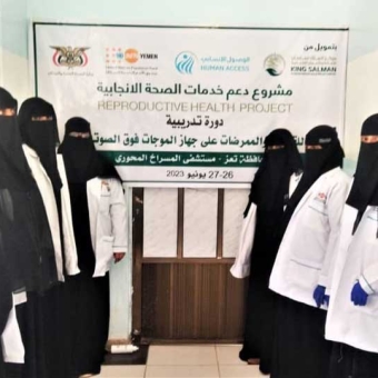 مجال الطوارئ التوليدية