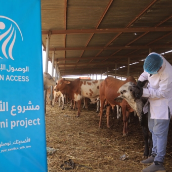 الوصول الإنساني تتخذ كافة الترتيبات اللازمة لتنفيذ مشروع الأضاحي لعام 1447هـ