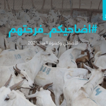 Under the slogan “Your sacrifices are their joy”, HUMAN ACCESS launches the Qurban (sacrifices) campaign for 2021