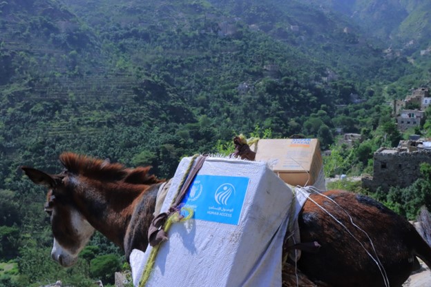 make progress on the path of delivering aid to hard-to-reach areas