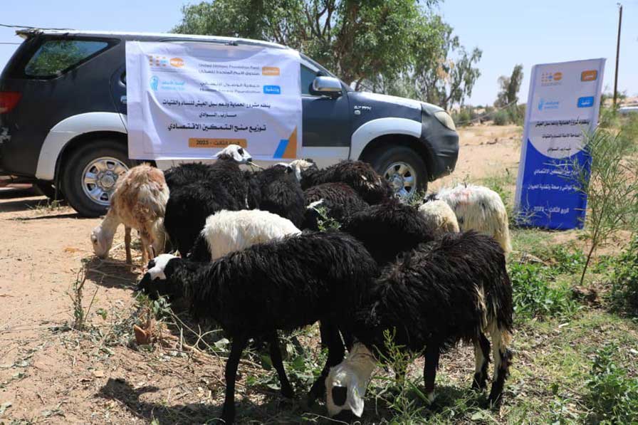 economic empowerment grants