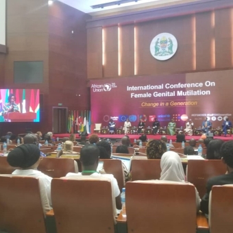 HUMAN ACCESS participates in the 2nd FGM International Conference