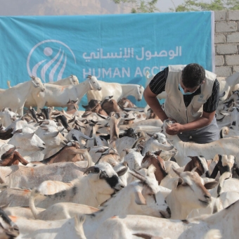 Intensive preparations to implement the sacrificial meat distribution project