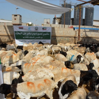 Meat delivery to over 4 thousand people