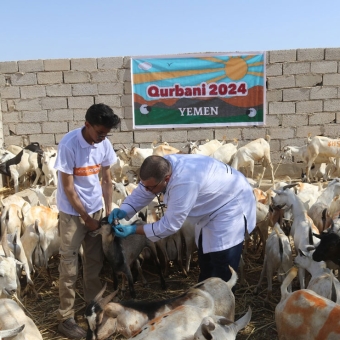 Sacrificial meat reaches 10,800 people