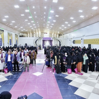 Ongoing activities to combat violence against women and girls