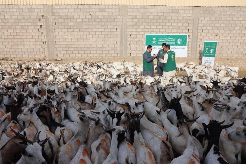 KSrelief reviews arrangements for implementation of the sacrificial meat distribution project