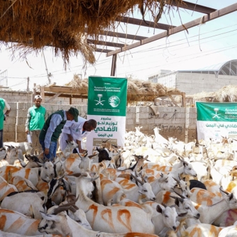 KSrelief Center team inspects 1447 AH Udhiyah meat project in Aden