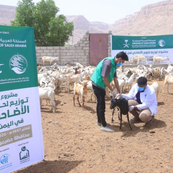 Funded by KSrelief Center, intensive preparations to implement the Udhiyah meat distribution project in Hadhramaut 
