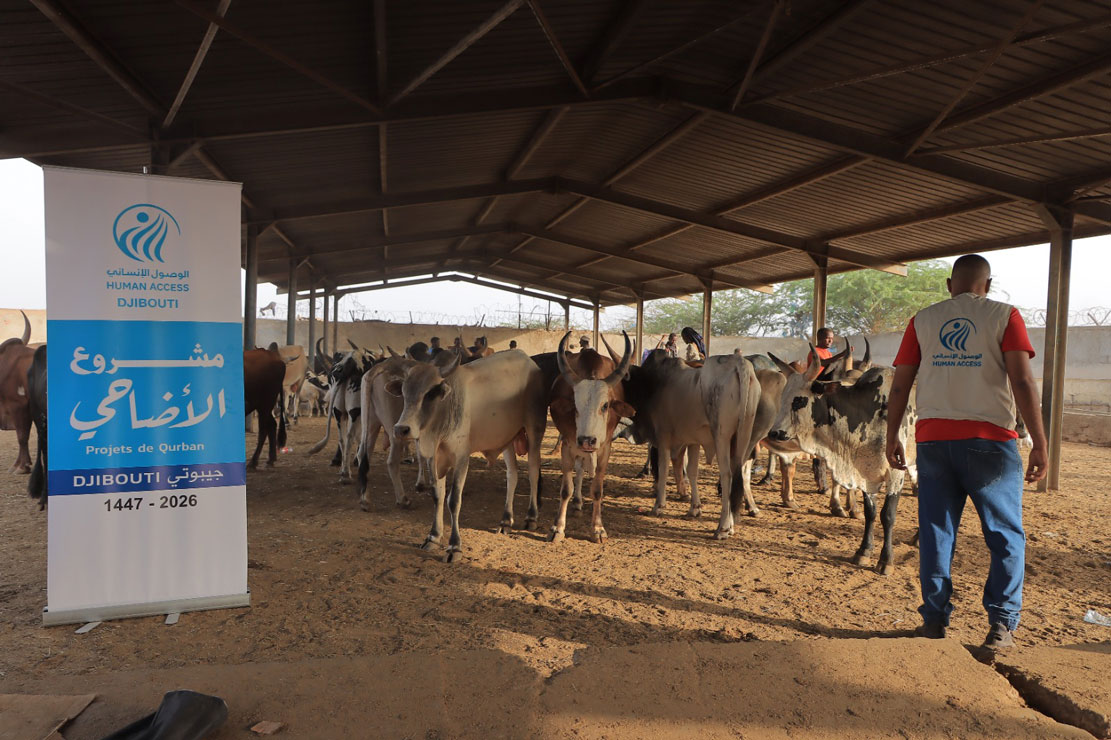 Over 15,000 People Benefit from Qurbani Meat Distribution in Djibouti